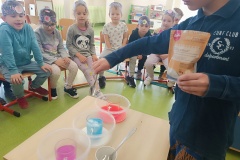 IMG_20250307_094008