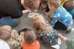 IMG-20250327-WA0026