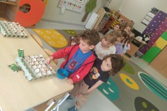IMG_20250327_103208