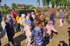 IMG_20250512_083811