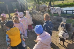 IMG_20250512_083906