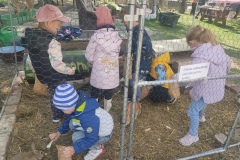 IMG_20250512_113124