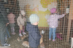 IMG_20250512_113232