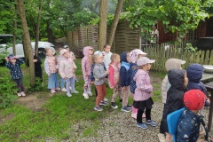 IMG_20250609_111153