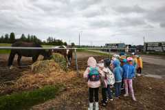img-20250611-wa0013