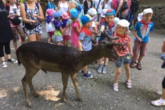 Leśny Park Niespodzianek w Ustroniu